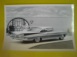 �C���p�����̎ʐ^